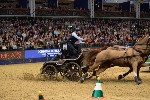 Extreme - 00658